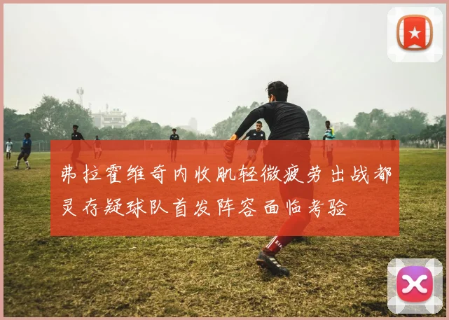 弗拉霍维奇内收肌轻微疲劳出战都灵存疑球队首发阵容面临考验